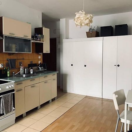 Artystyczny Apartment Na Zoliborzu Varsó Kültér fotó