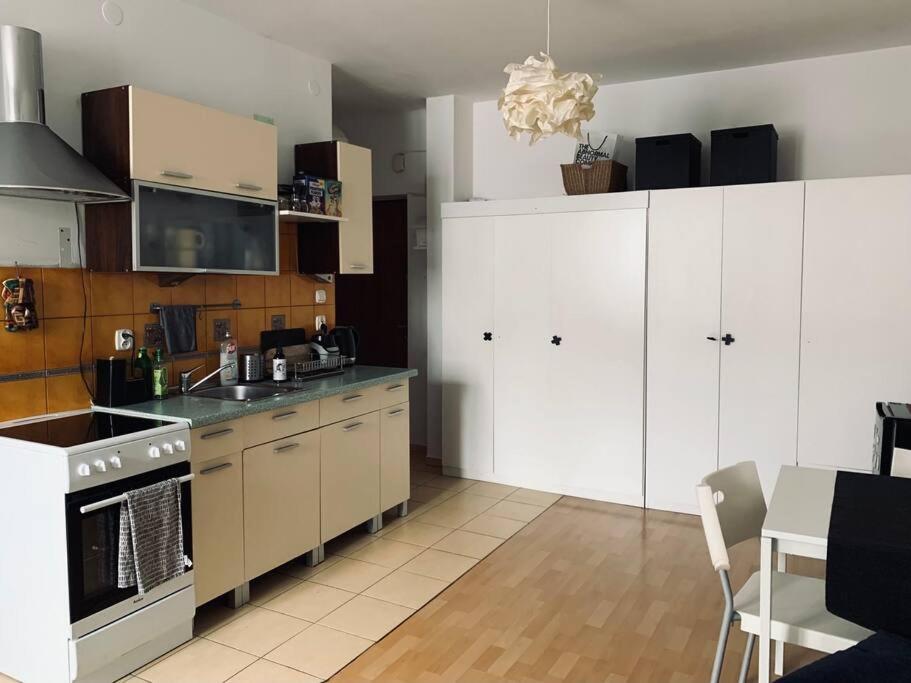 Artystyczny Apartment Na Zoliborzu Varsó Kültér fotó